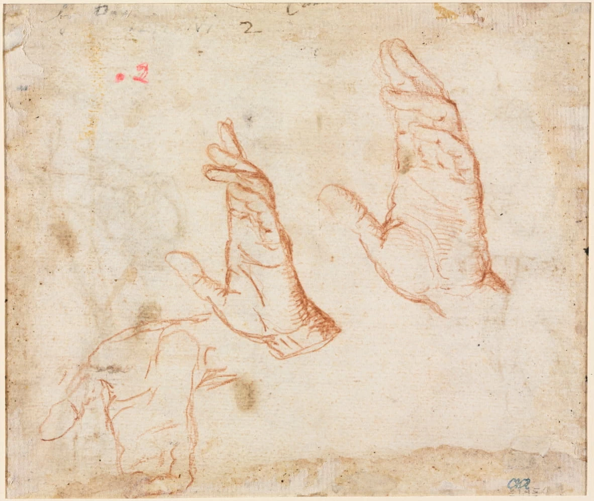 Sudio di mani - Cleveland Museum of Art